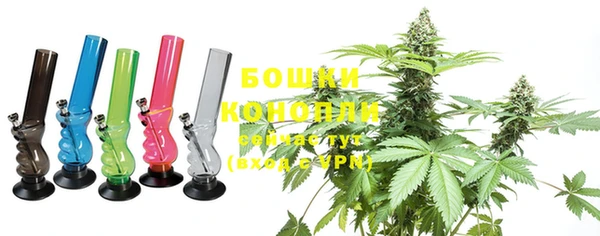 индика Новокубанск