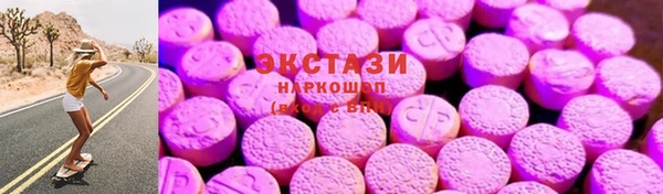 ECSTASY Богородицк