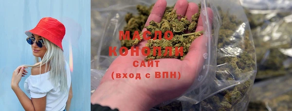 индика Новокубанск
