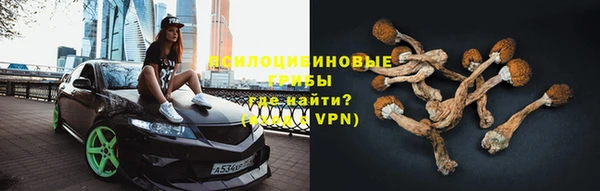 экстази Новозыбков