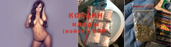 индика Новокубанск
