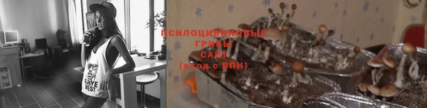 ешки Богданович