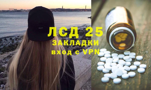 индика Новокубанск