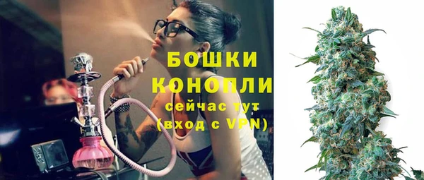 индика Новокубанск