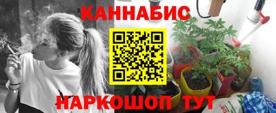 эйфоретик Аргун