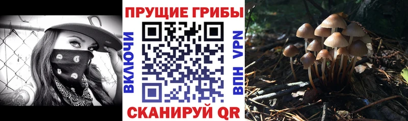 KRAKEN онион  Белгород  Галлюциногенные грибы прущие грибы 