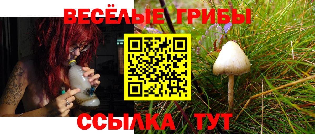 Галлюциногенные грибы мицелий Белгород