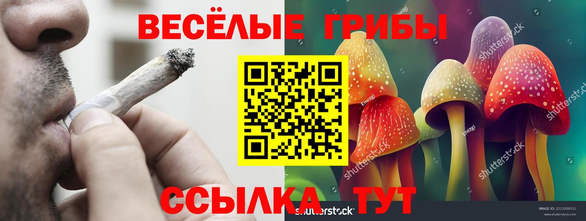 Галлюциногенные грибы ЛСД Белгород